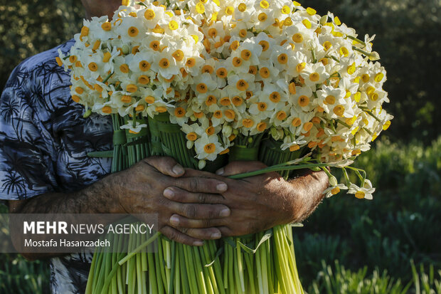 پیام خوزستان