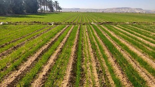 پیام خوزستان