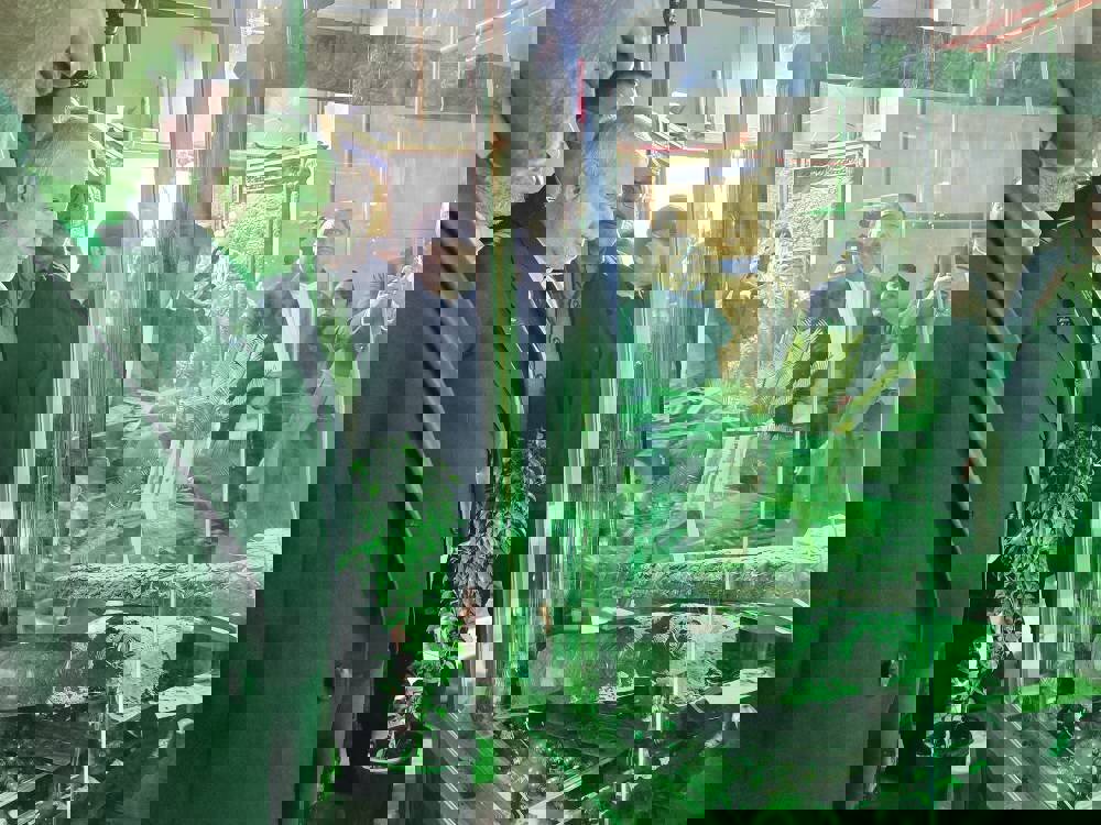 صالحی‌امیری: هتک حرمت حرم سبزقبا چهره واقعی دشمنان ایران را آشکار کرد