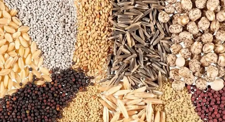 تامین و توزیع نهاده‌های دامی و کشاورزی در خوزستان