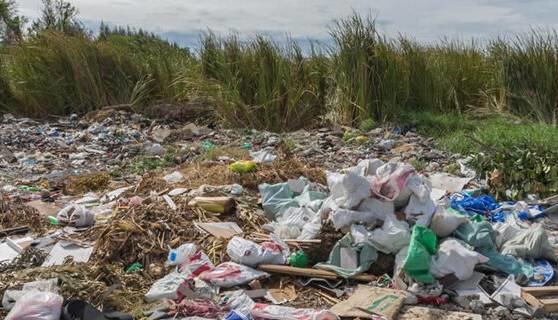 پلاستیک‌ها ۸۳ میلیون سال زندگی سالم را ربودند