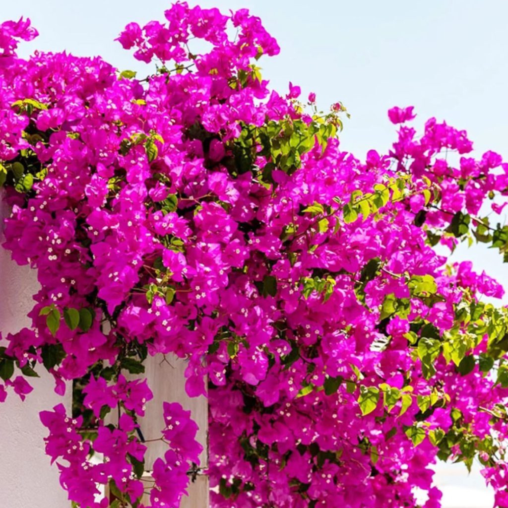 پیام خوزستان