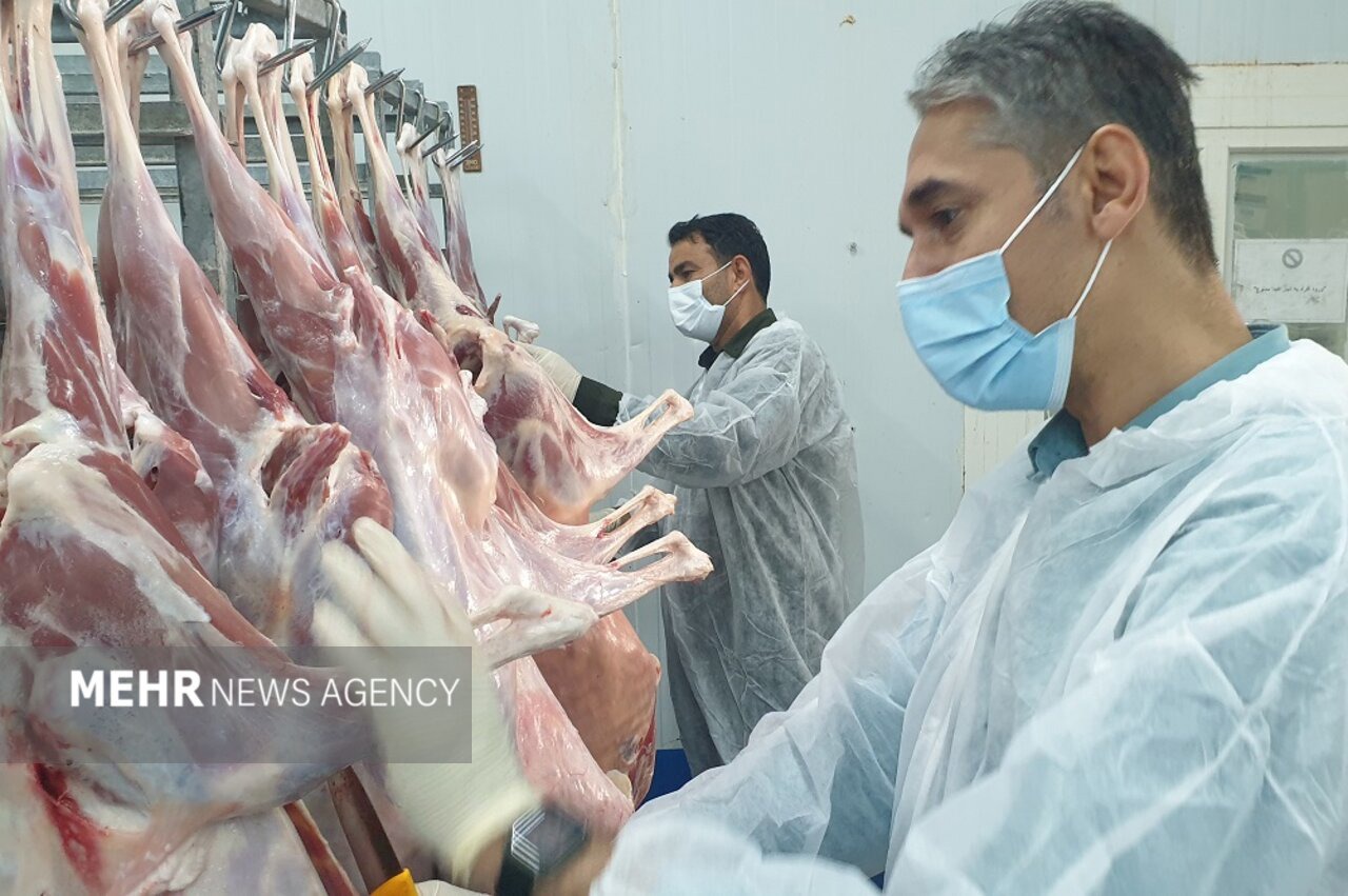 فاز نخست کشتارگاه دام سبک و سنگین در دزفول بهره برداری شد