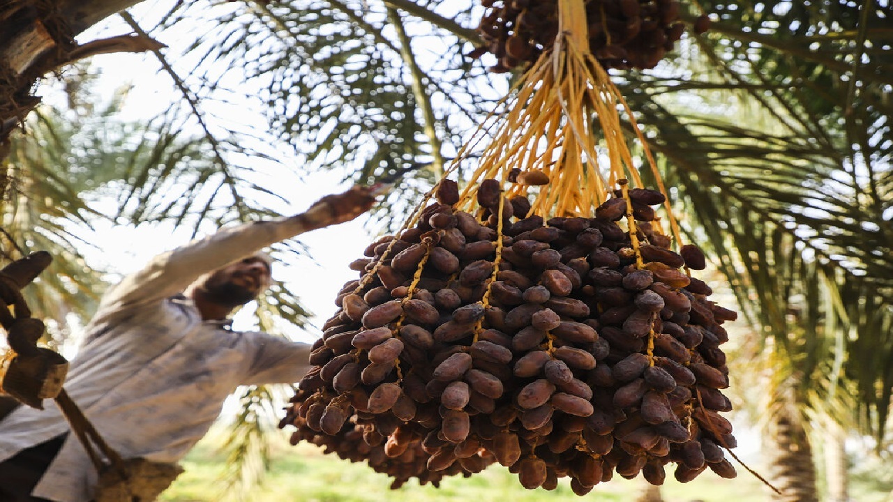 پیام خوزستان