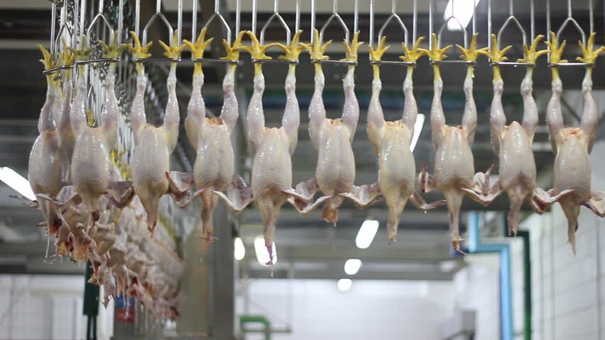 پیام خوزستان