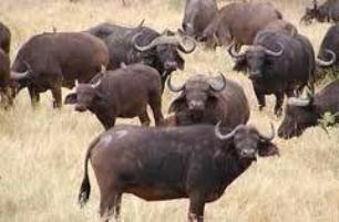 پیام خوزستان