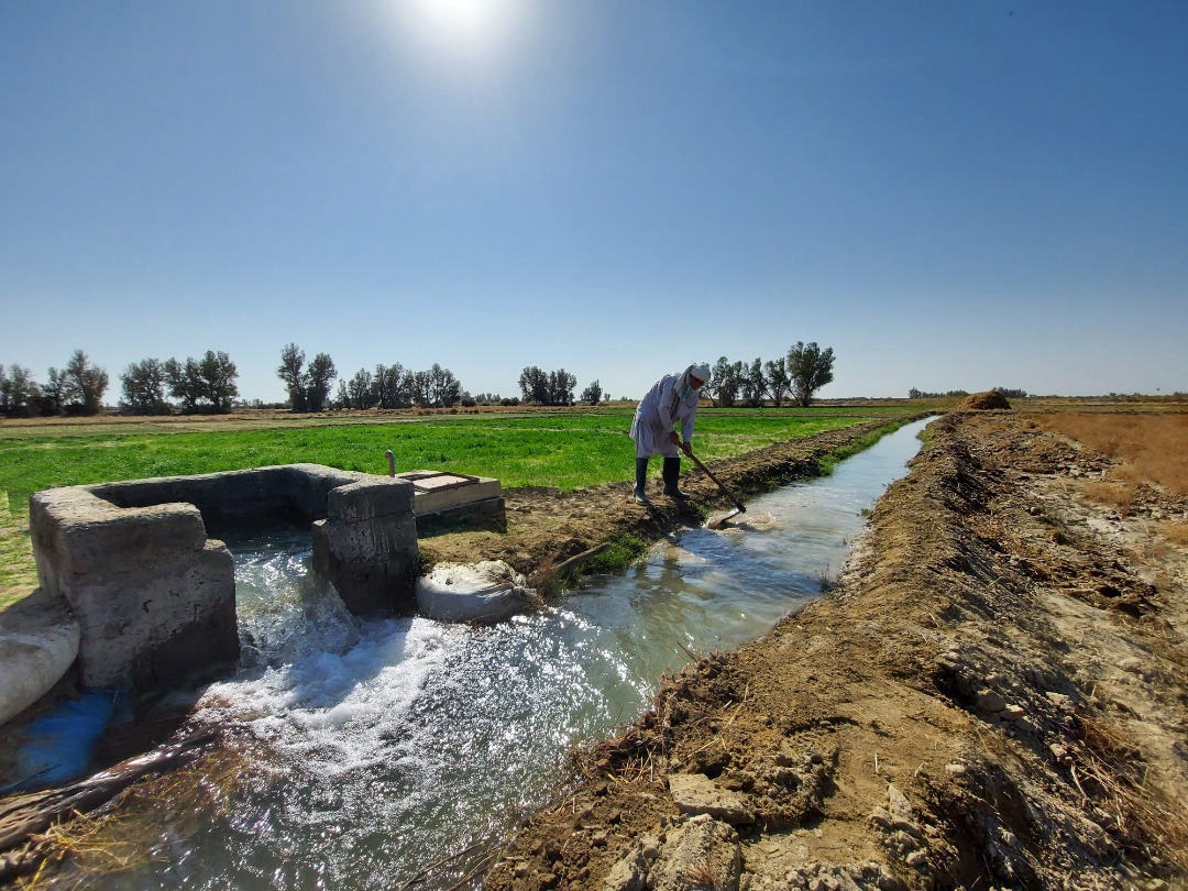 حفظ حقابه‌های بخش کشاورزی با افزایش بهره وری در مصرف آب