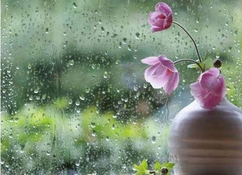 پیش بینی فعالیت سامانه بارشی و کاهش دما در خوزستان