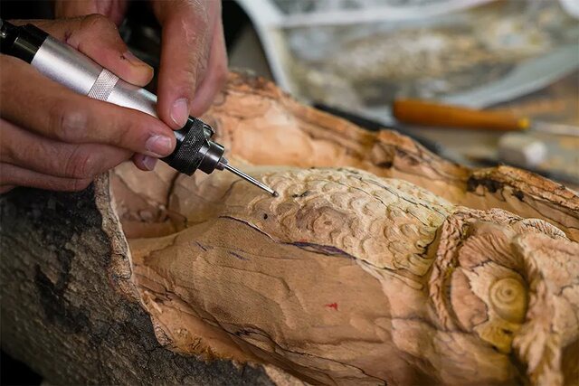 درختان خشکیده اهواز پیکرتراشی می‌شوند