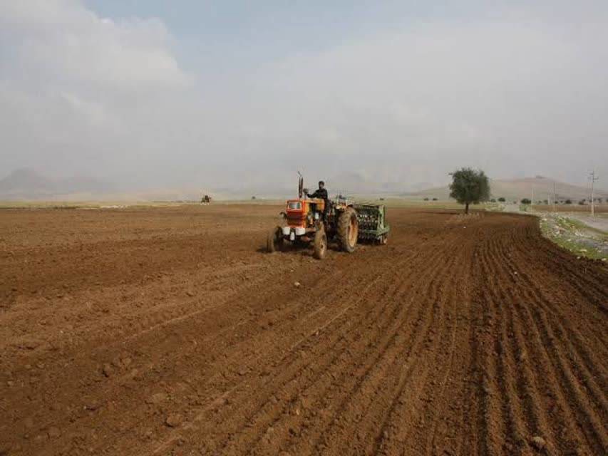 کشت پاییزه در بیش از ۱۵ هزار و ۷۰۰ هکتار از اراضی کشاورزی لالی