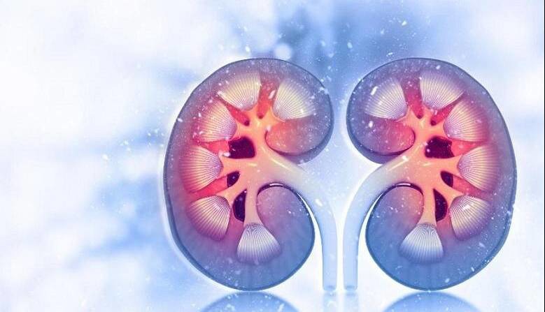 داروی دیابت روند پیری کلیه را کُند می‌کند