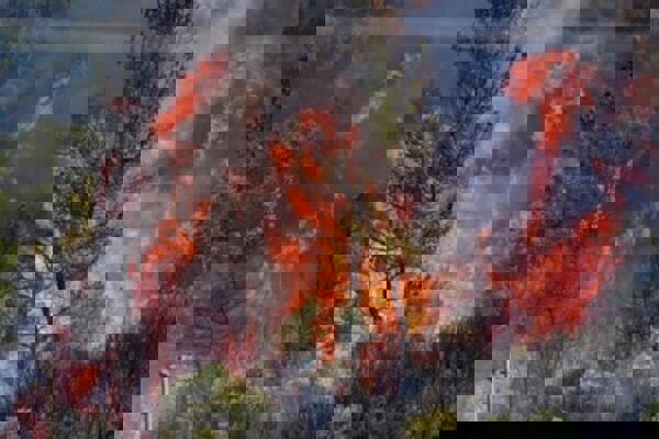 ۱۷۰۰ هکتار عرصه طبیعی امسال در خوزستان دچار آتش‌سوزی شد