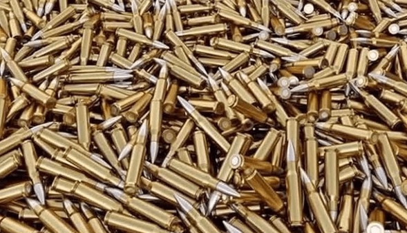 فشنگ جنگی در شادگان کشف شد