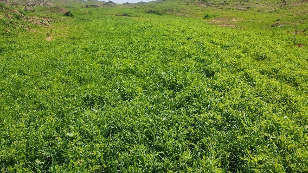 پیام خوزستان