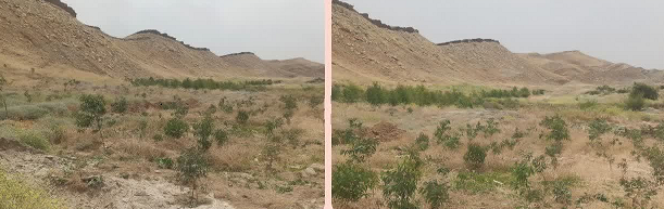 پیام خوزستان