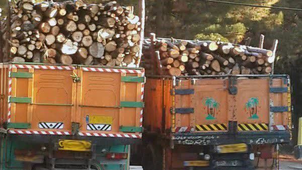 کشف ۳ تُن چوب قاچاق در شوش
