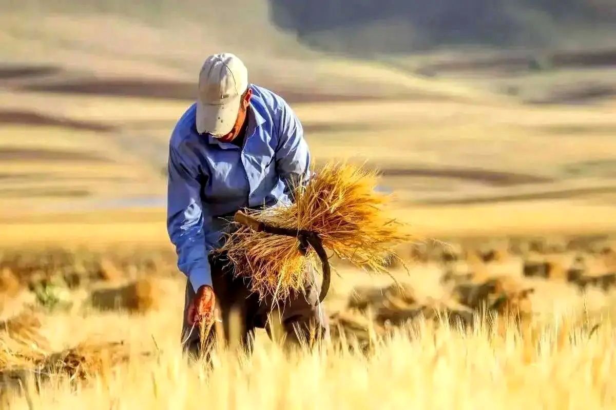 پیام خوزستان