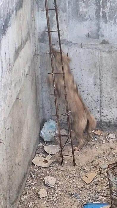 پیام خوزستان