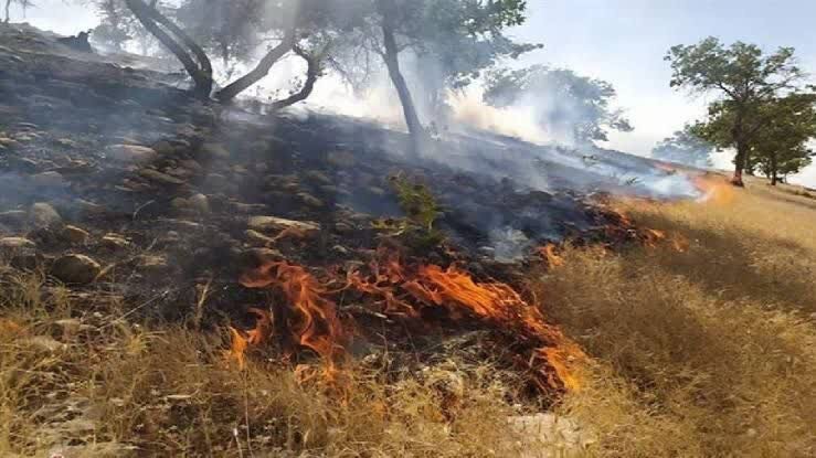 درخواست اعزام بالگرد برای مهار آتش خائیز  بهبهان