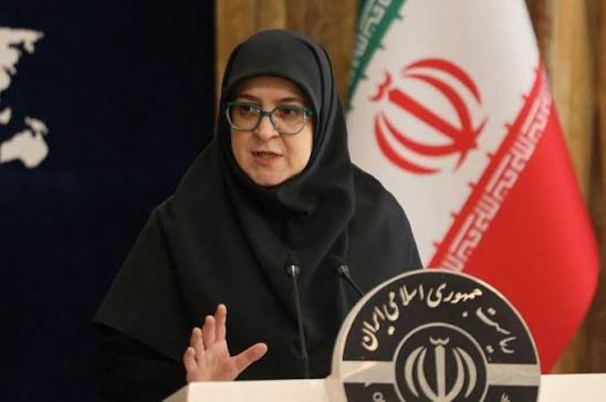 سخنگوی دولت: مردم جنوب کشور، جان ایران هستند