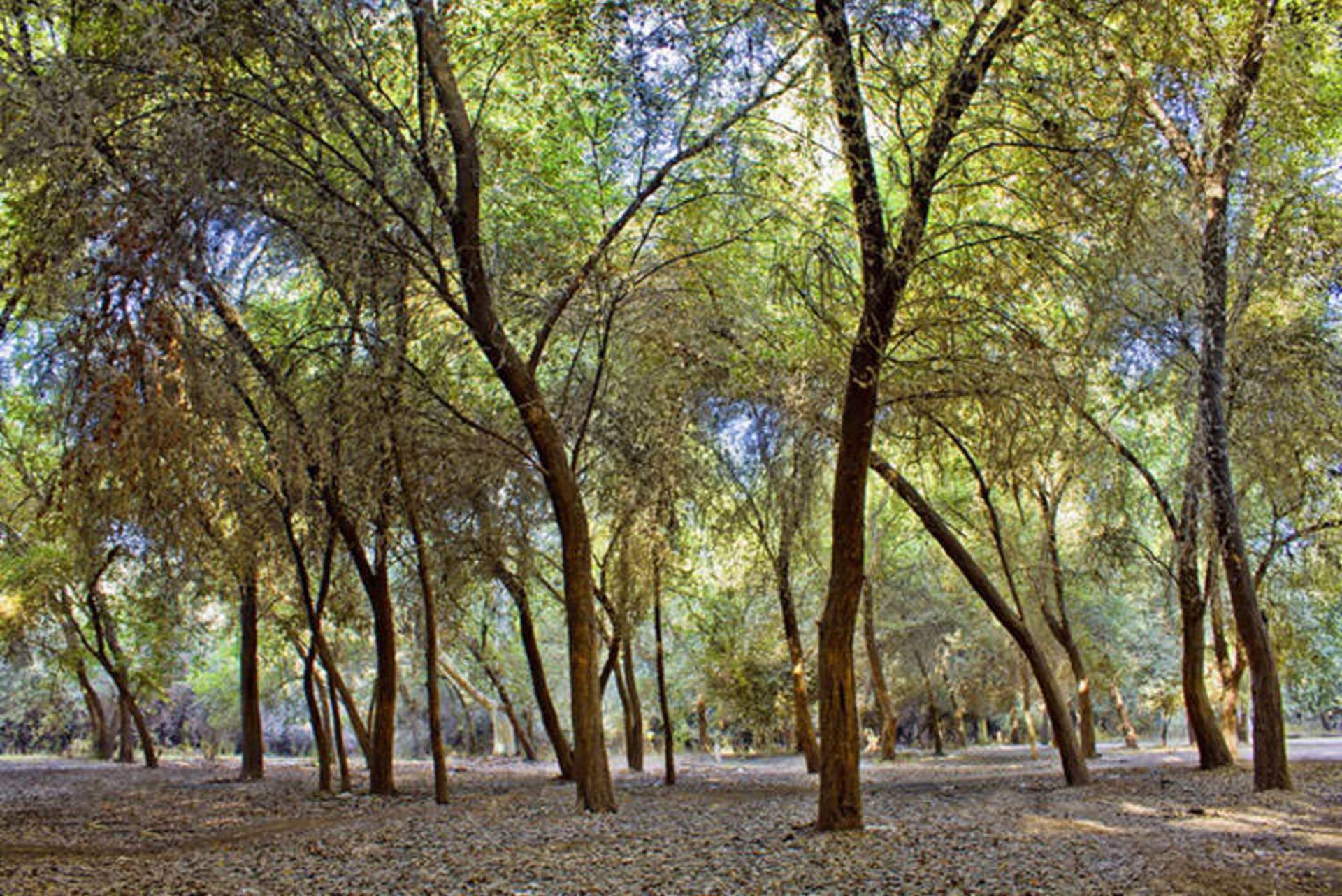 پیام خوزستان