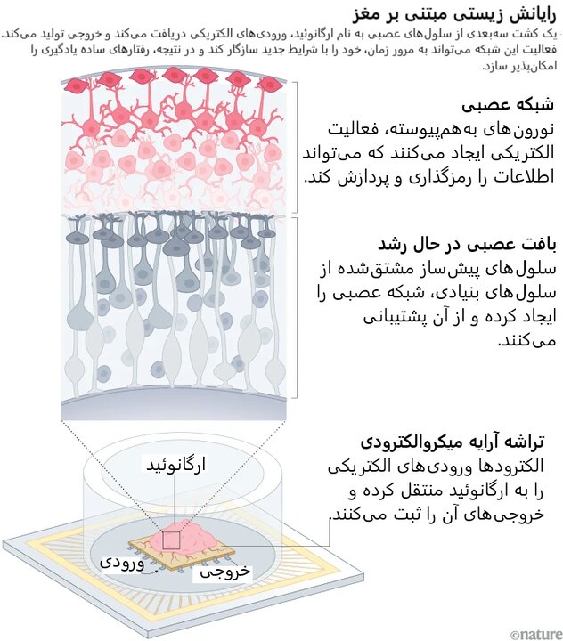 پیام خوزستان