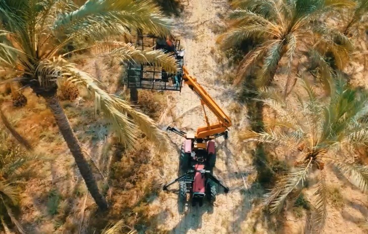آغاز برداشت مکانیزه خرما از نخلستان‌های بهبهان
