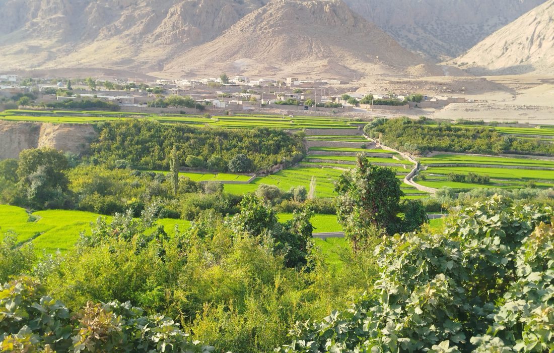 اجرای مرحله هفتم پویش سراسری خوزستان پاکیزه