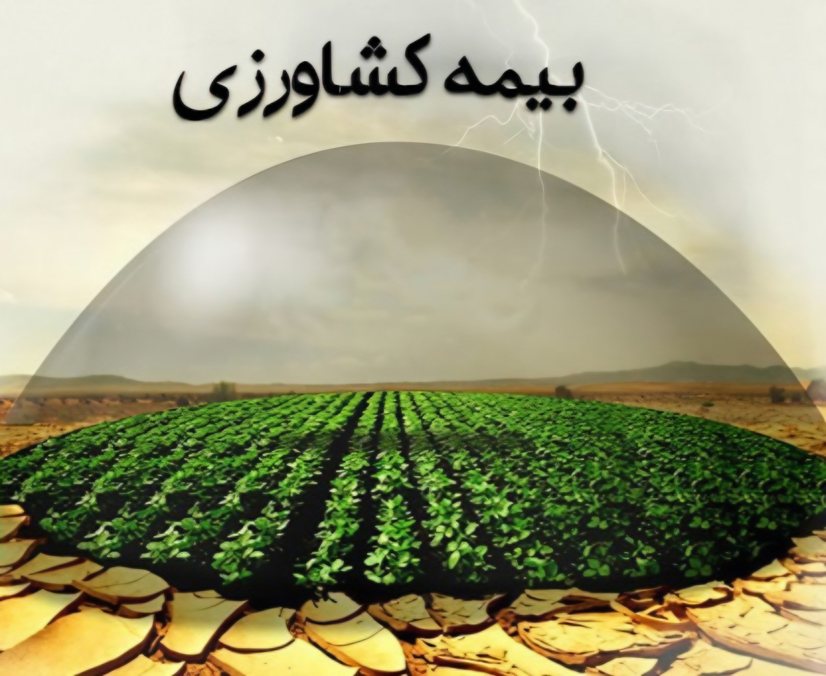پوشش بیمه‌ای، سپر دفاعی کشاورزان خوزستان در برابر تغییرات اقلیمی