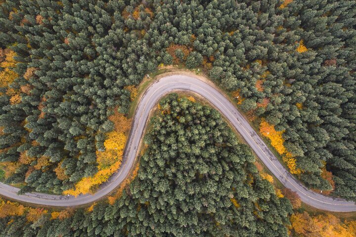 پایش ۱۵ هزار هکتار از جنگل‌های زاگرسی خوزستان برای مقابله با آفات