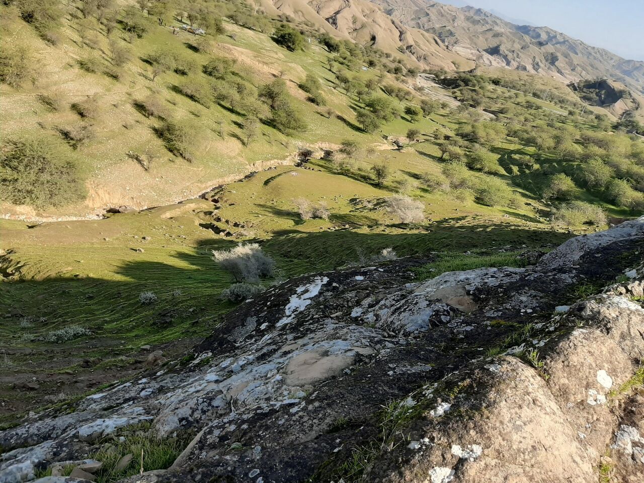 آبرسانی به آبشخور‌های حیات‌وحش چهل‌پا اندیمشک