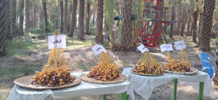 پیام خوزستان
