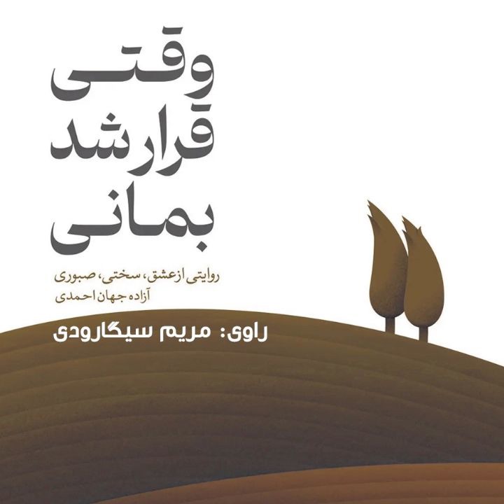 کتاب صوتی، وقتی قرار شد بمانی(فصل دوم)