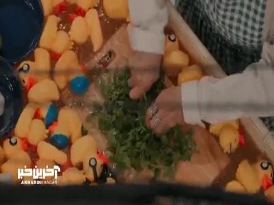 تنفر مهسا طهماسبی از دست زدن به ماهی!
