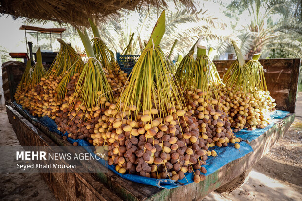 پیام خوزستان