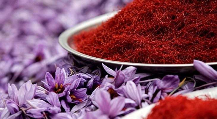 پیش‌بینی برداشت یک تن زعفران در سلسله لرستان