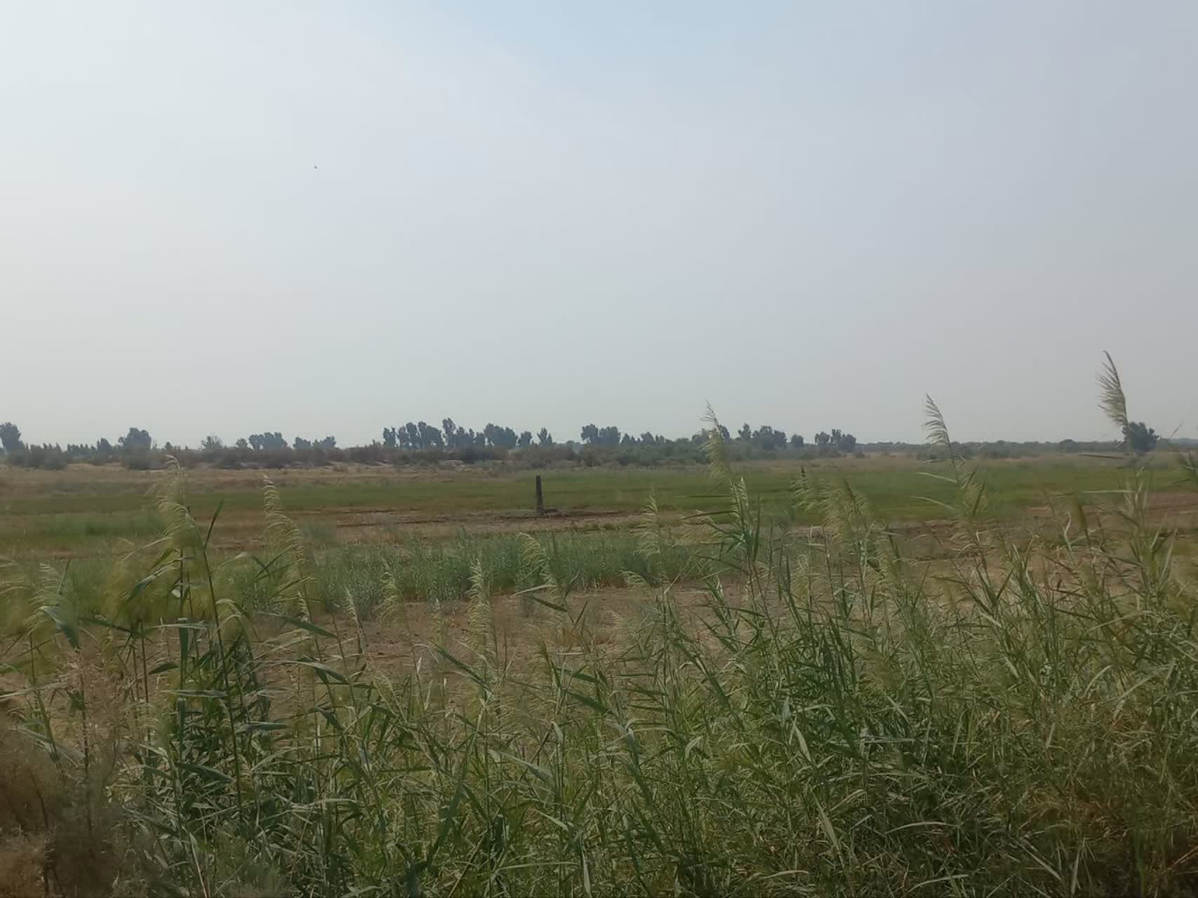 رفع تصرف ۱۶ هکتار از اراضی ملی و منابع طبیعی در اهواز