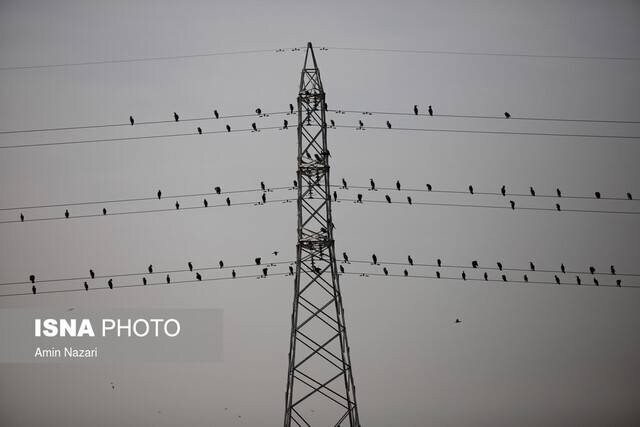 تنفس هوای آلوده در ۵ شهر خوزستان