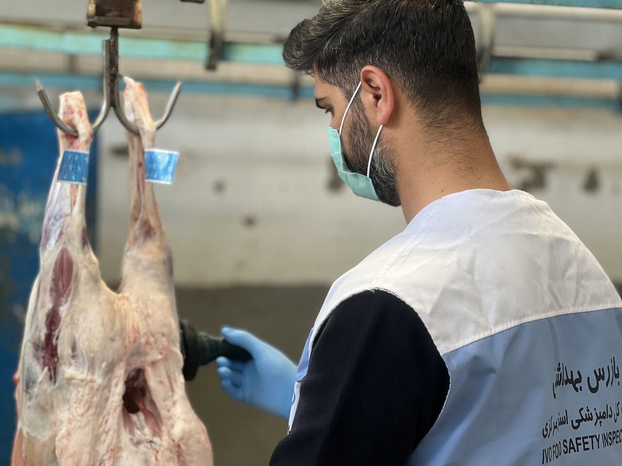 تشکیل کارگروه مقابله با کشتار غیرمجاز دام در اهواز